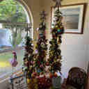 Natural Bark Alpine 2' 3' 4' Artificial Christmas Tree (Set of 3) main image 1